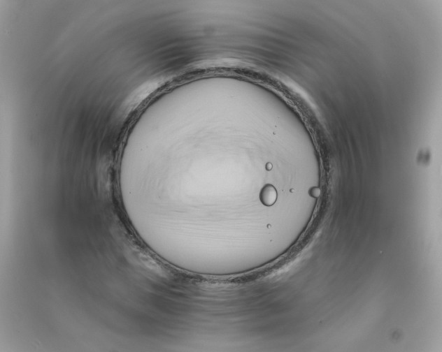 X0000090780921200708172125