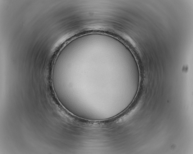 X0000090780922200708172125