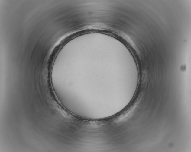 X0000090780923200708172125