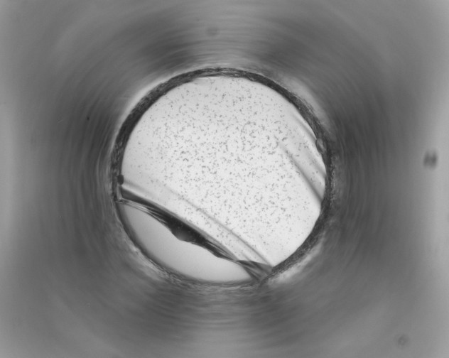 X0000090780924200708172125