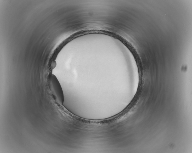X0000090780925200708172125
