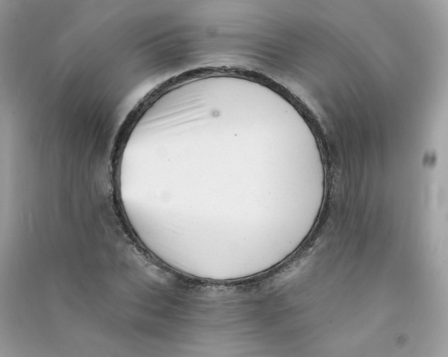 X0000090780927200708172125