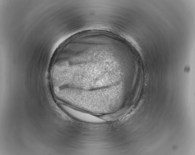 X0000090780928200708172125