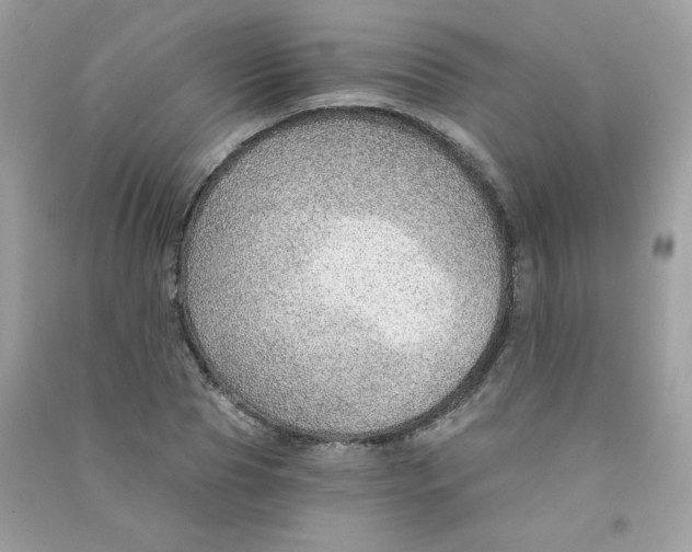 X0000090780929200708172125