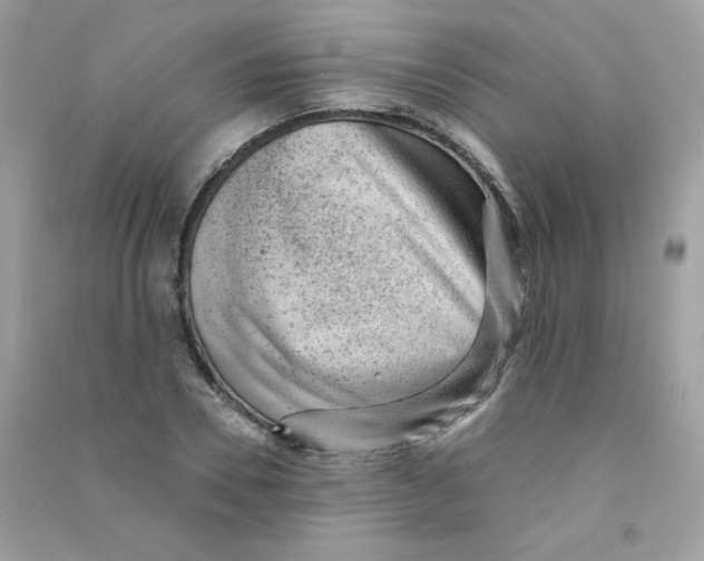 X0000090780930200708172125