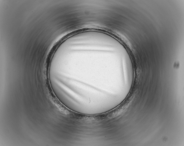 X0000090780931200708172125