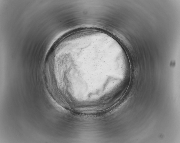 X0000090780934200708172125