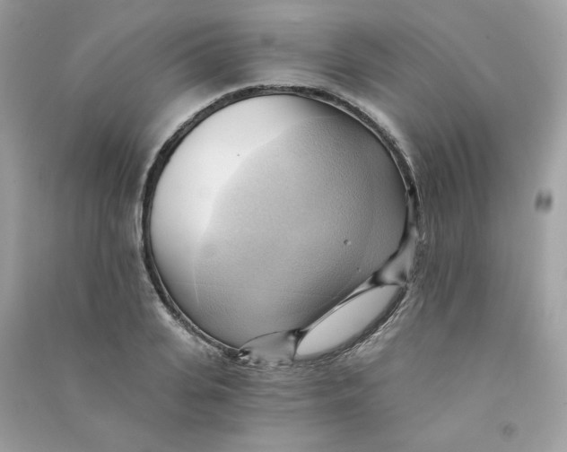 X0000090780935200708172125