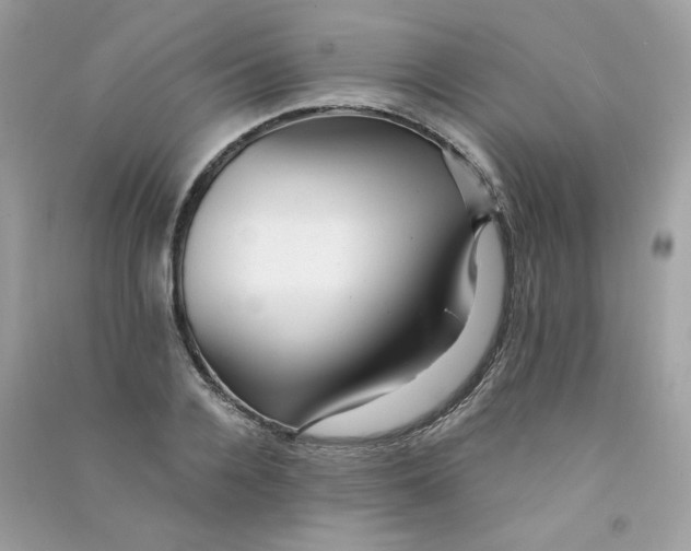 X0000090780936200708172125