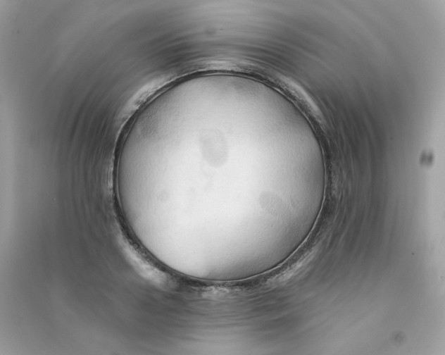 X0000090780938200708172125