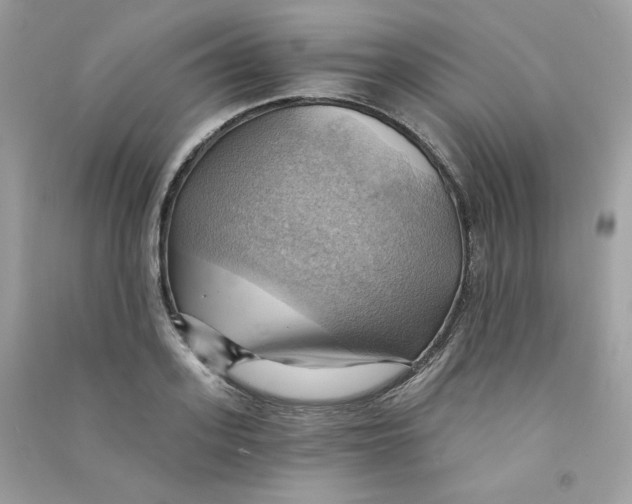 X0000090780939200708172125