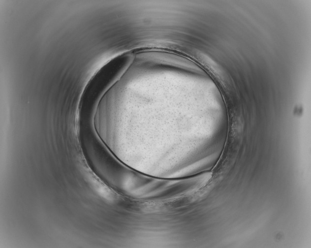 X0000090780940200708172125