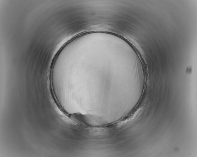 X0000090780941200708172125