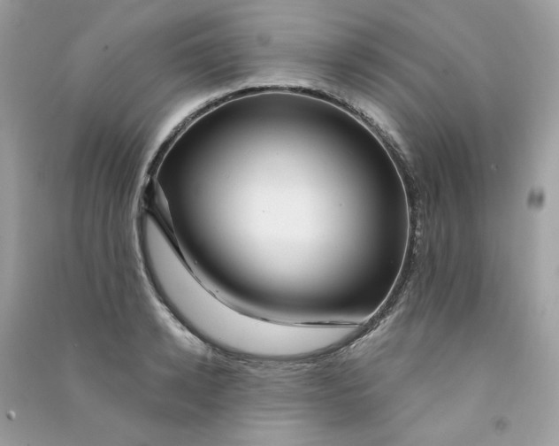 X0000090780942200708172125