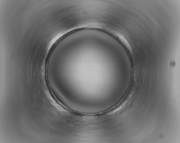 X0000090780944200708172125