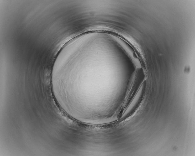 X0000090780945200708172125