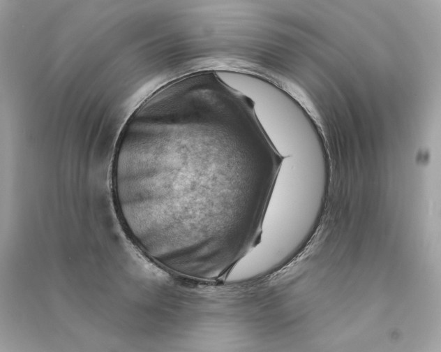X0000090780946200708172125