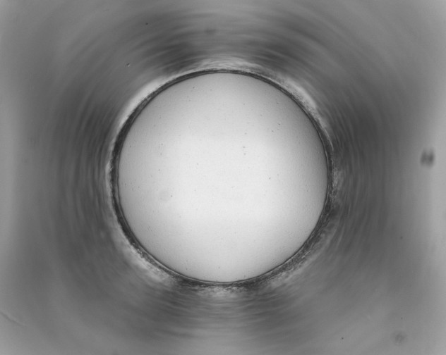 X0000090780947200708172125