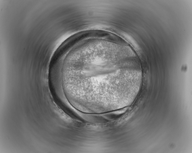 X0000090780948200708172125