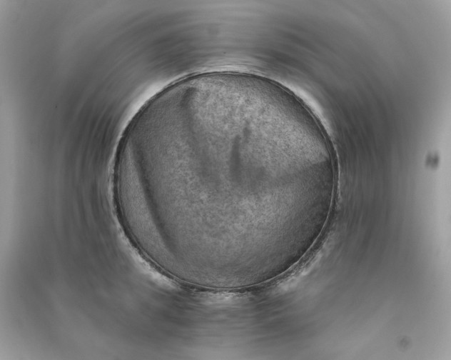 X0000090780949200708172125