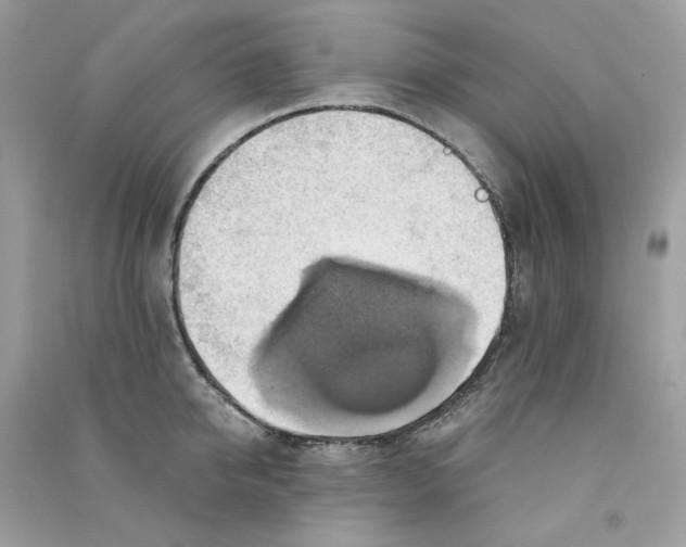 X0000090780950200708172125