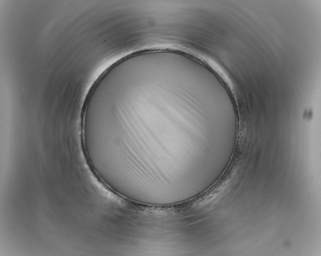 X0000090780951200708172125