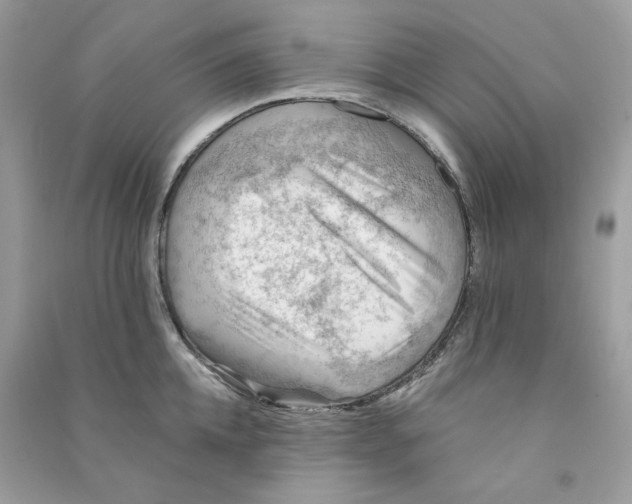 X0000090780952200708172125