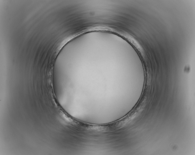 X0000090780953200708172125