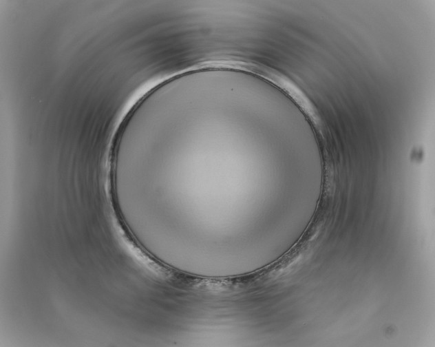 X0000090780955200708172125