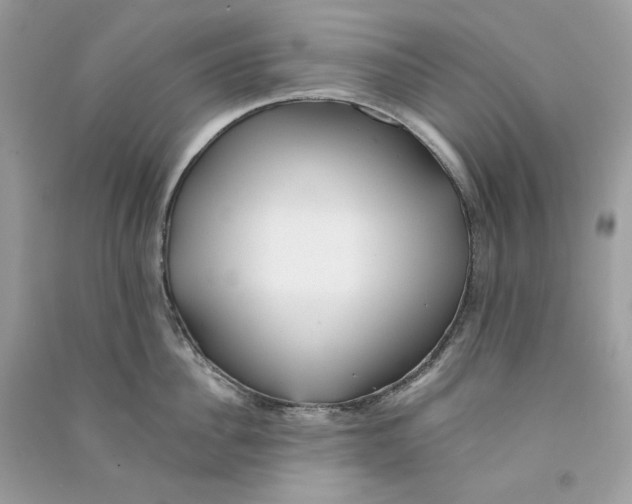 X0000090780956200708172125