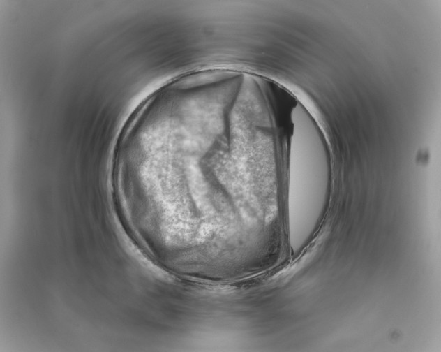 X0000090780957200708172125