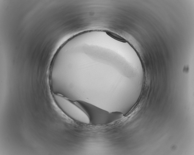 X0000090780958200708172125