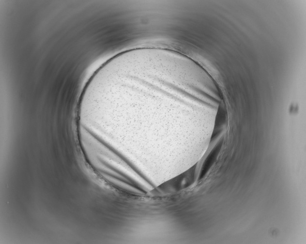 X0000090780960200708172125
