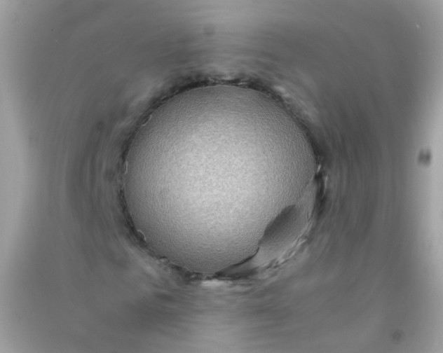 X0000090780961200708172125
