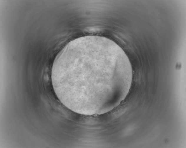 X0000090780962200708172125