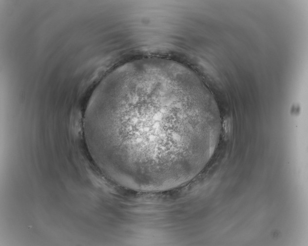 X0000090780963200708172125