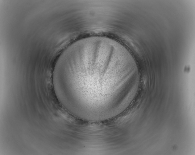 X0000090780964200708172124