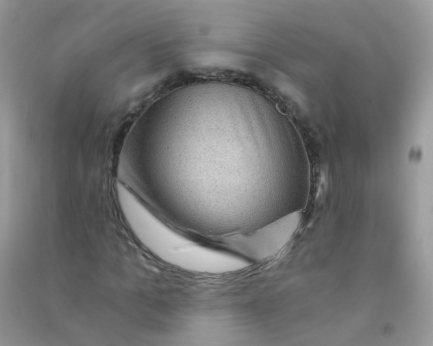 X0000090780965200708172124
