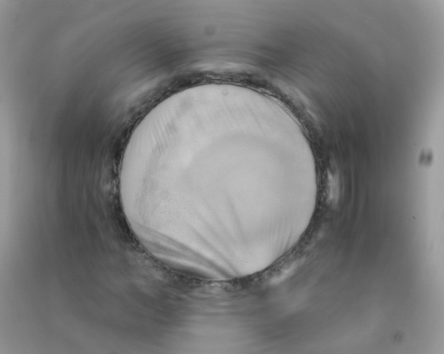 X0000090780966200708172124