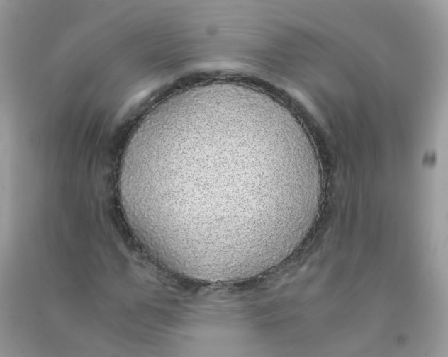 X0000090780967200708172124