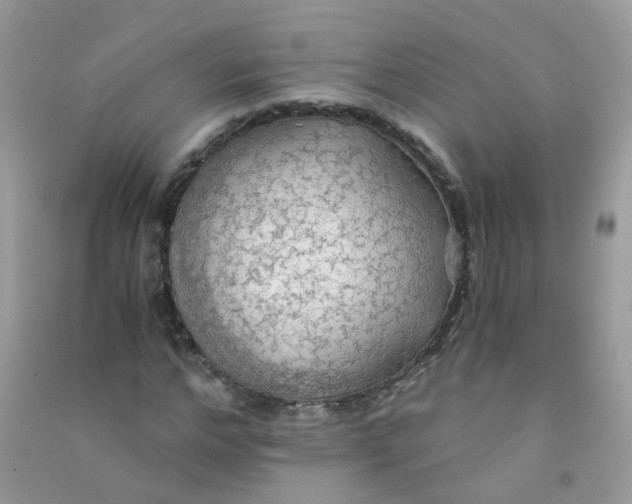 X0000090780968200708172124