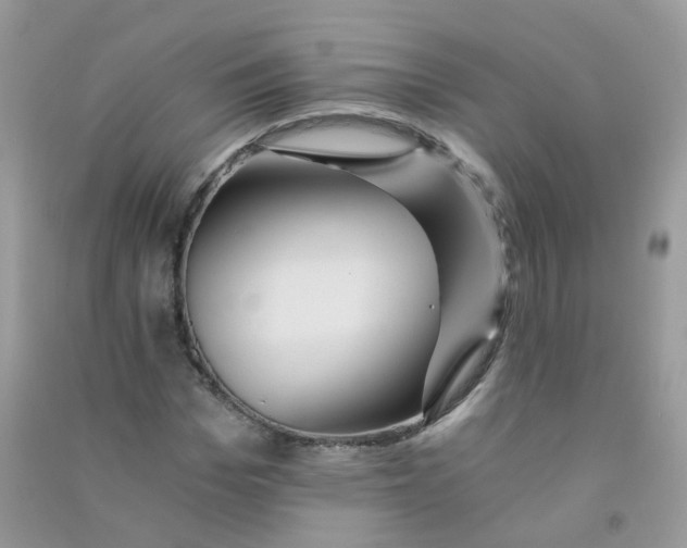 X0000090780969200708172124