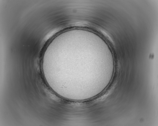 X0000090780970200708172124