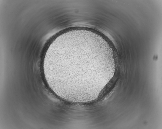 X0000090780971200708172124