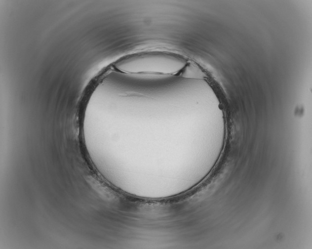 X0000090780973200708172124