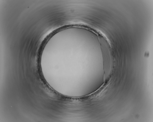 X0000090780975200708172124