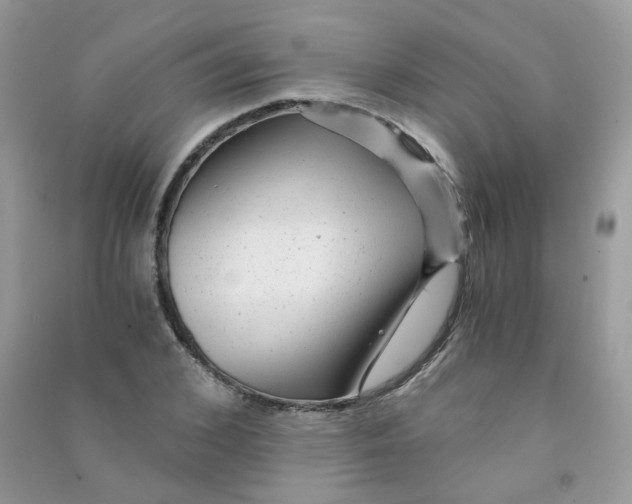 X0000090780976200708172124
