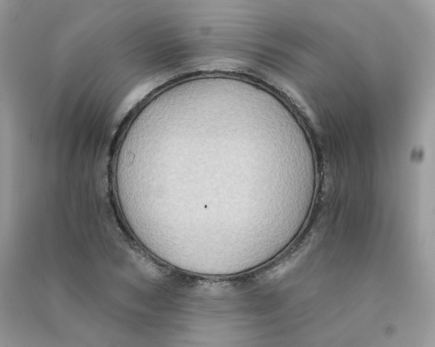 X0000090780978200708172124