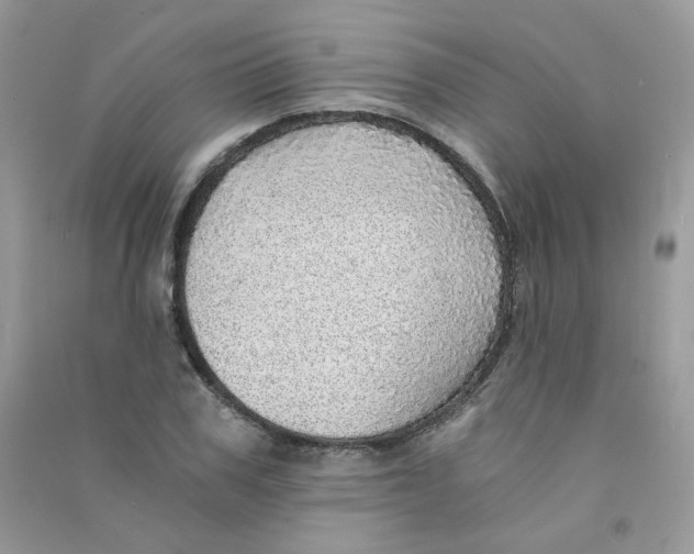 X0000090780979200708172124
