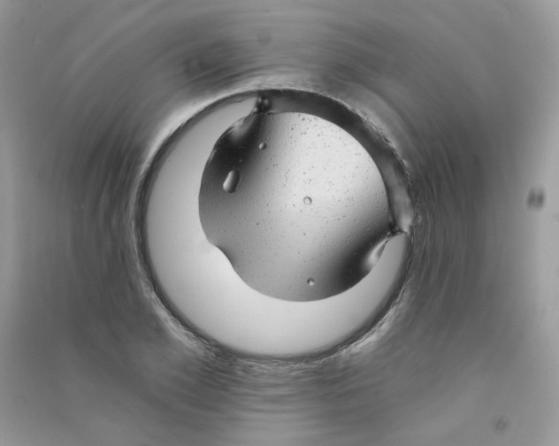 X0000090780981200708172124